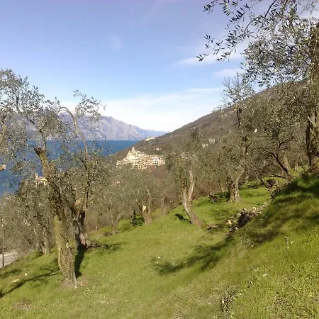 Apartament Romantic Dream *